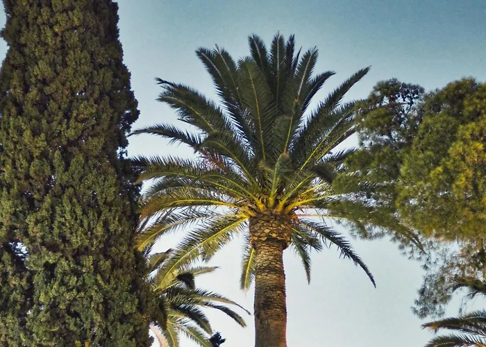 ホテル Boutique Islas (adults Only)