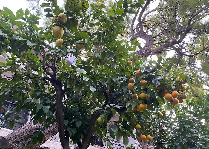 Ξενοδοχείο Boutique Islas (adults Only)