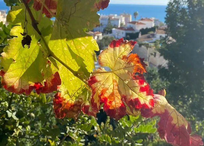 Boutique Islas (adults Only) Ξενοδοχείο 3*