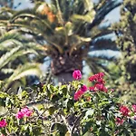 Boutique Islas (adults Only) Hotel Fuengirola