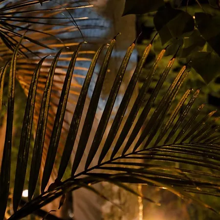 Boutique Islas (adults Only) 3* Fuengirola