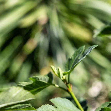 Ξενοδοχείο Boutique Islas (adults Only) Fuengirola