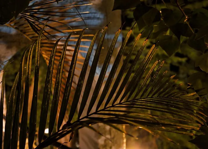 Boutique Islas (adults Only) 3* Fuengirola