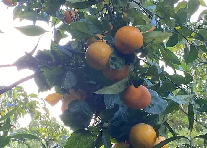 Boutique Islas (adults Only)