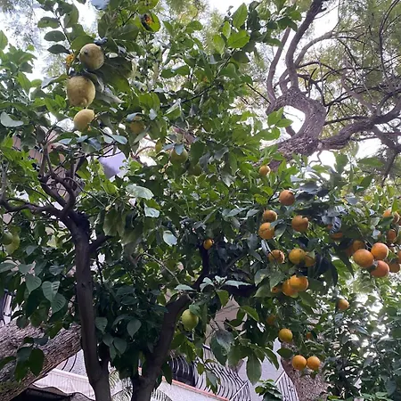 Otel Boutique Islas (adults Only)