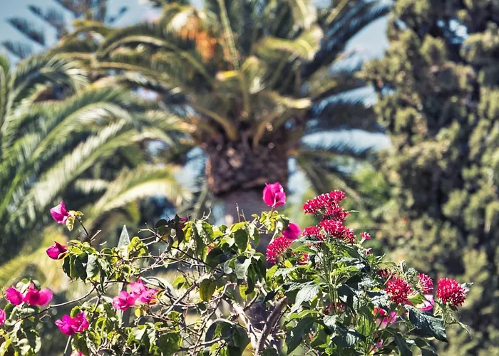 Boutique Islas (adults Only) Hotel Fuengirola