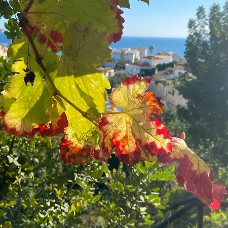 Boutique Islas (adults Only) Hotel 3*